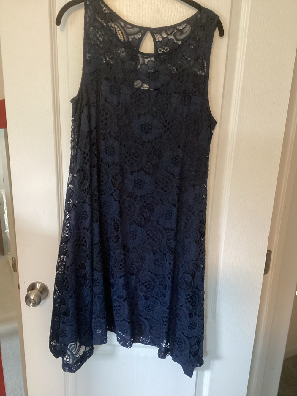Signature by Robbie Bee Navy Sleeveless Lace Mini Dress